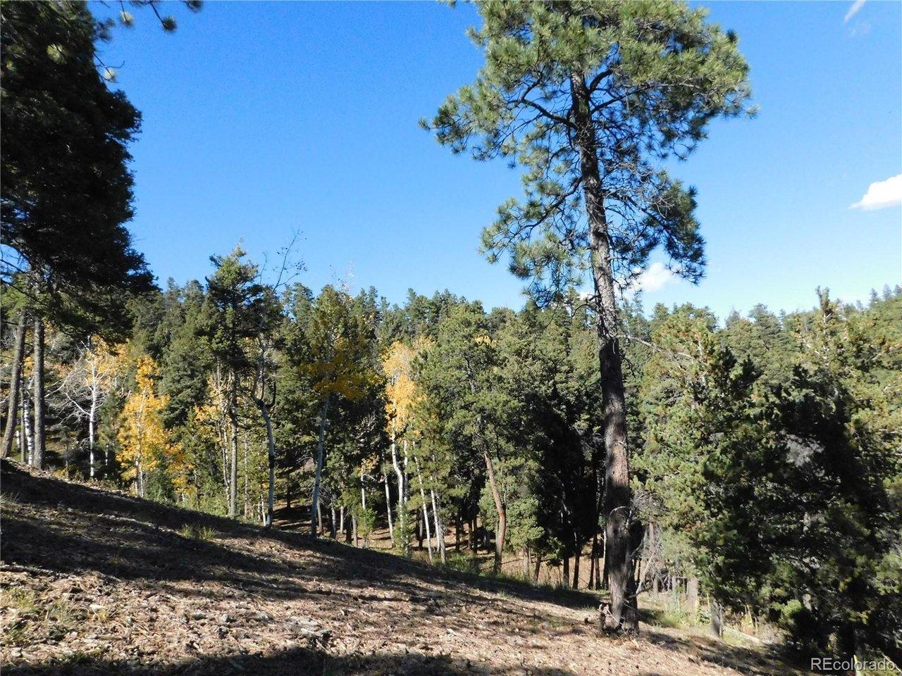 Image 4 Image 4