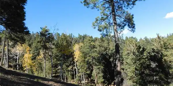Image 4 Image 4