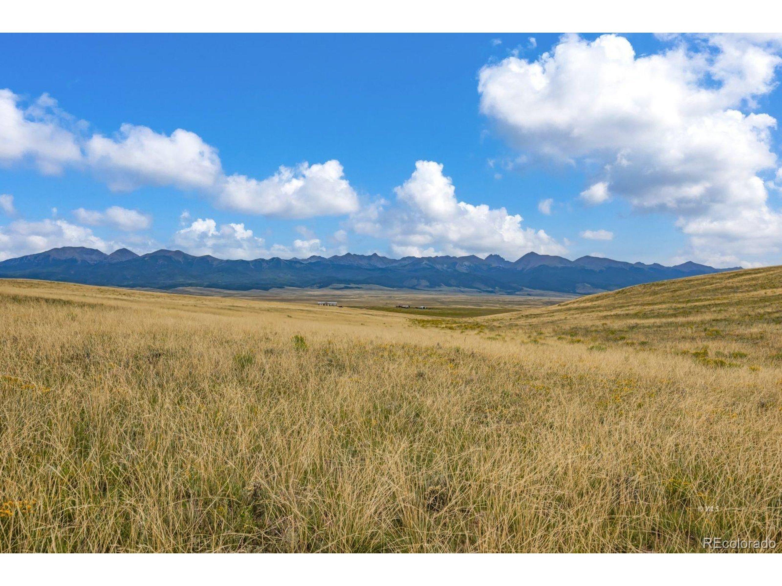 Image 3 Image 3