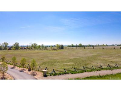 11558 Eagle Springs Trl