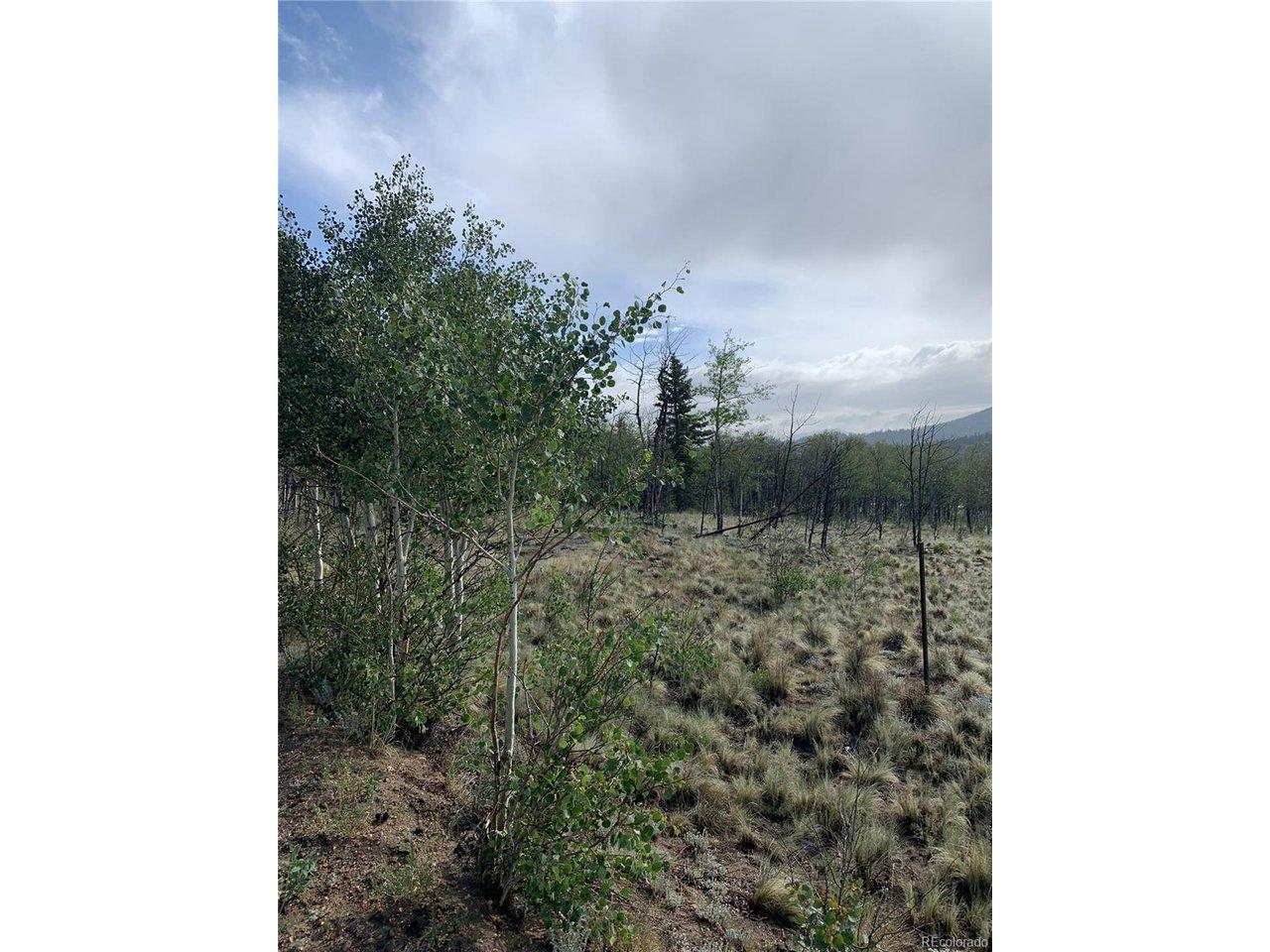 Image 3 Image 3