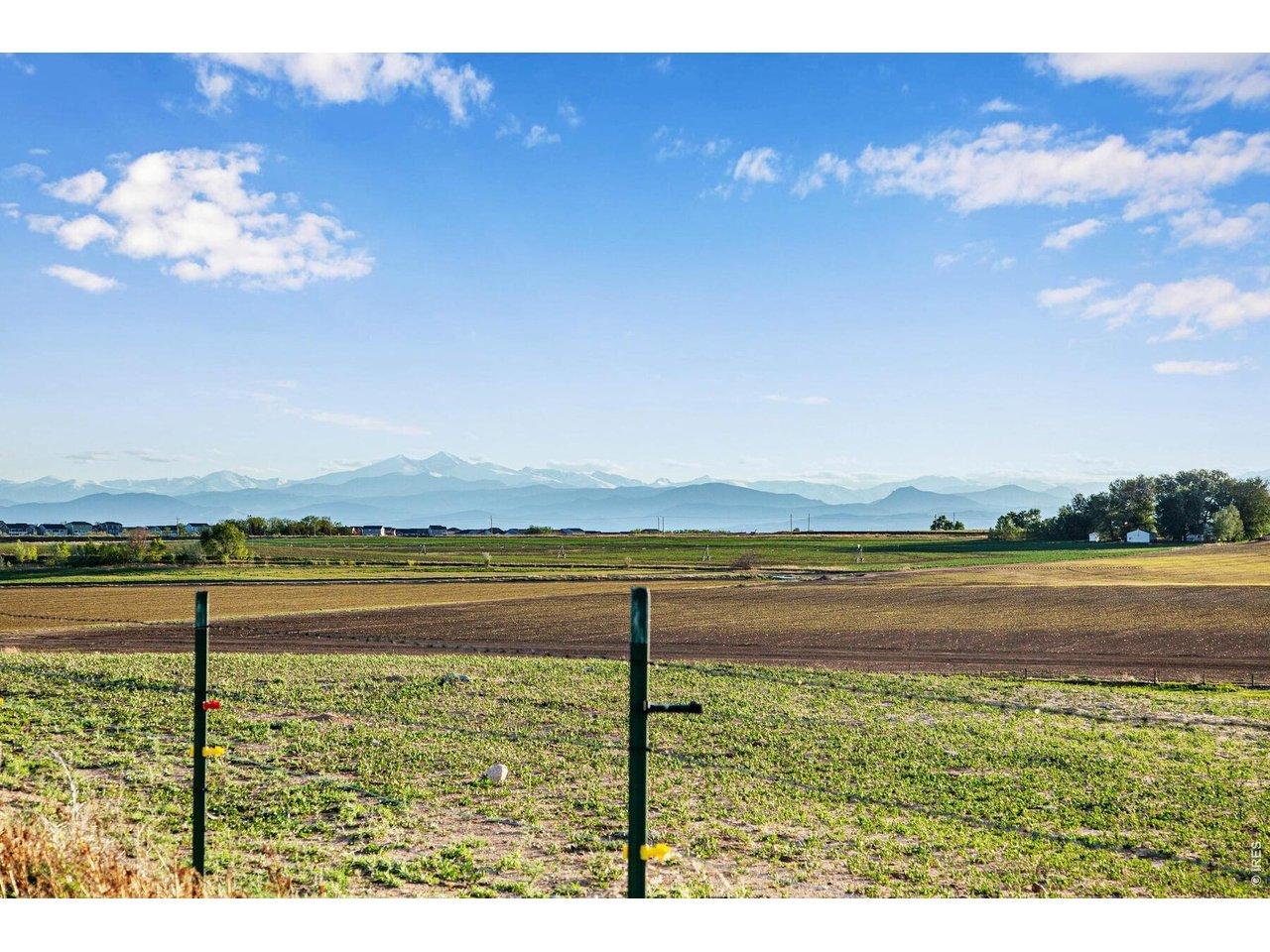 Image 3: On top of the hill looking West Image 3: On top of the hill looking West