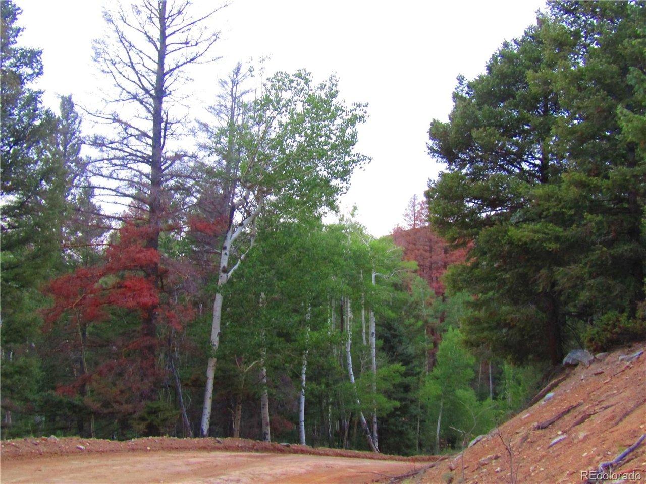 Image 4 Image 4