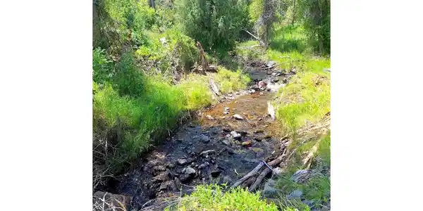 West Creek - CR 48 Rd