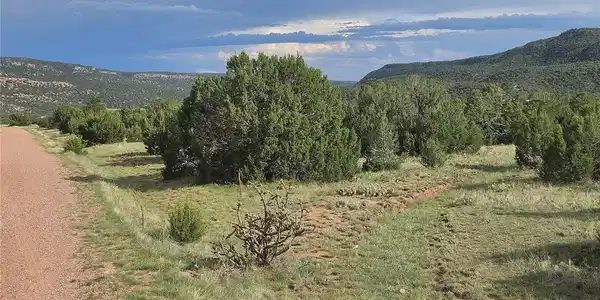 Image 3 Image 3