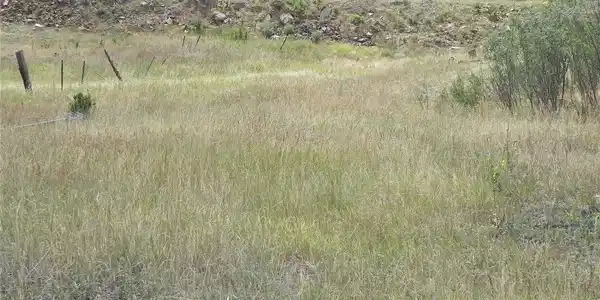 Image 3 Image 3