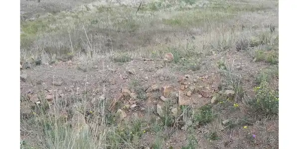 Image 4 Image 4
