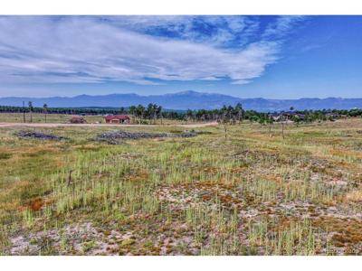 1 Forest Heights Cir