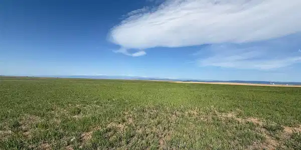 Image 3 Image 3