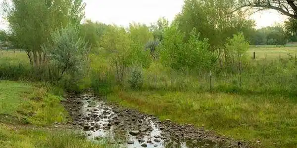 Image 4 Image 4