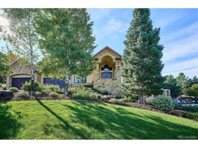 10378 Grande Vista Ct