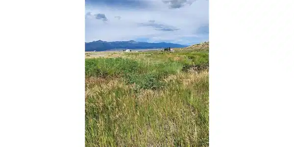 Image 2 Image 2