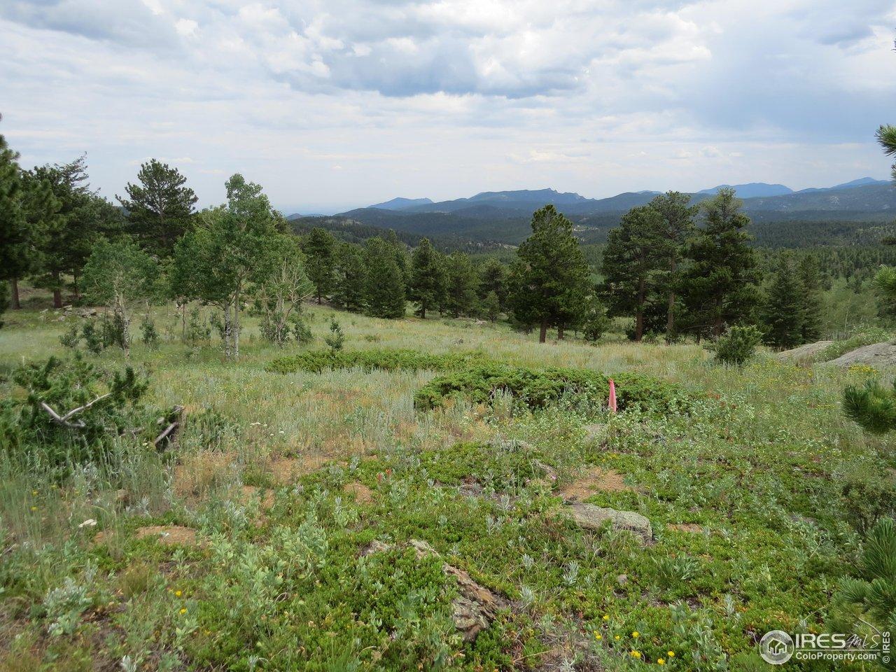 Image 4: Looking East from SE corner
