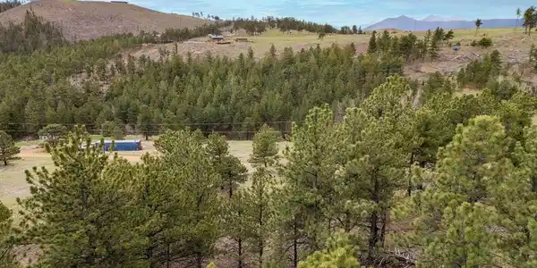 Image 3: View from approx 20ft high in the building envelope. Please be aware that any land and/or structures shown in the listing photos outside of the approximate lot lines are not  for sale.