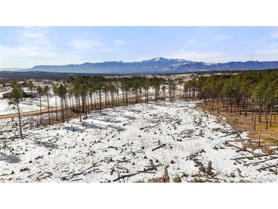 0 Snowmass Dr