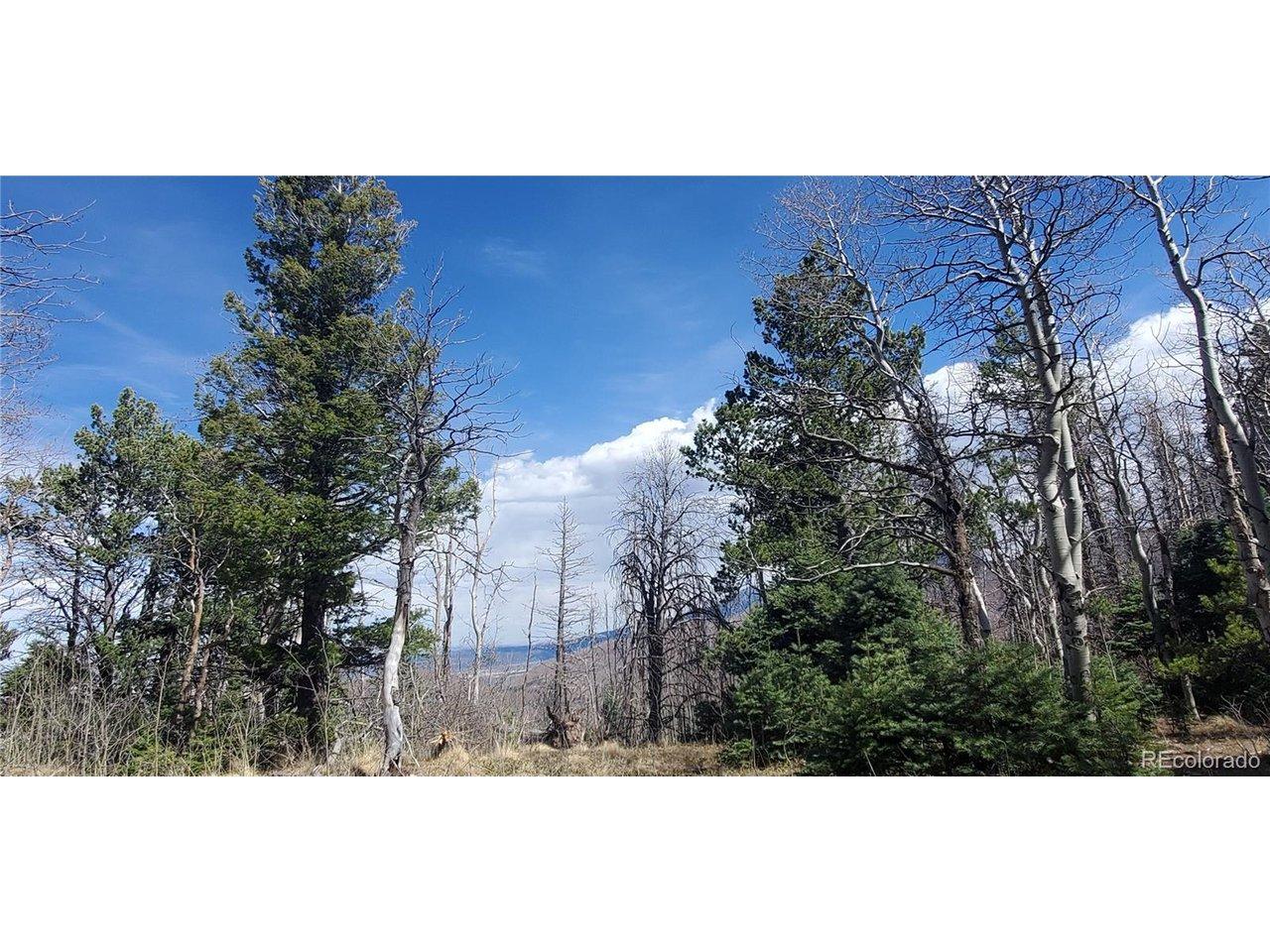 Image 3 Image 3