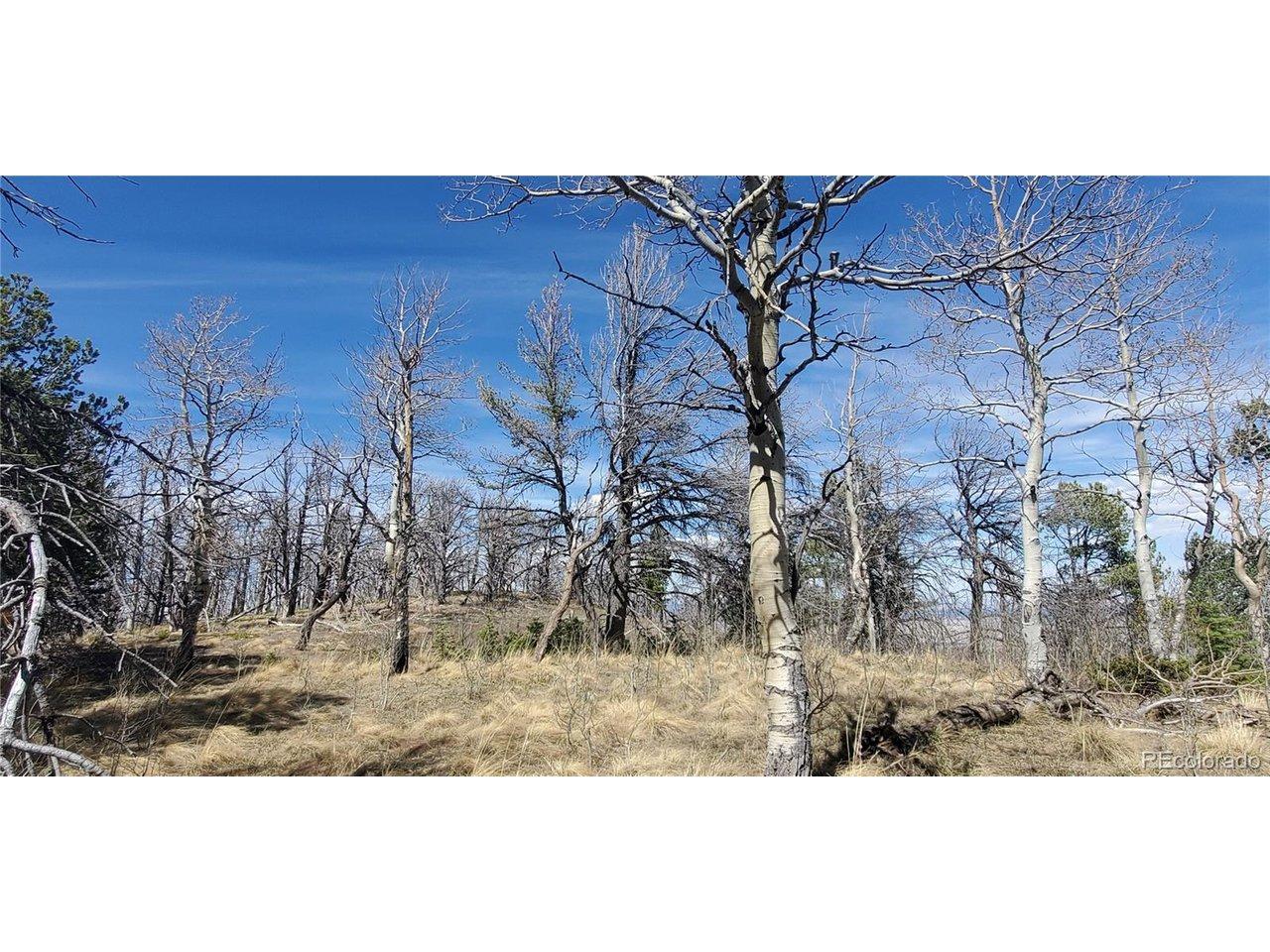 Image 4 Image 4