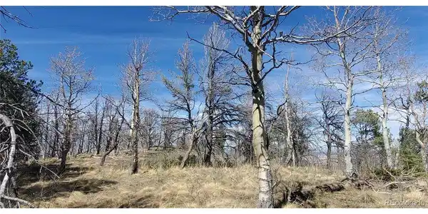 Image 4 Image 4