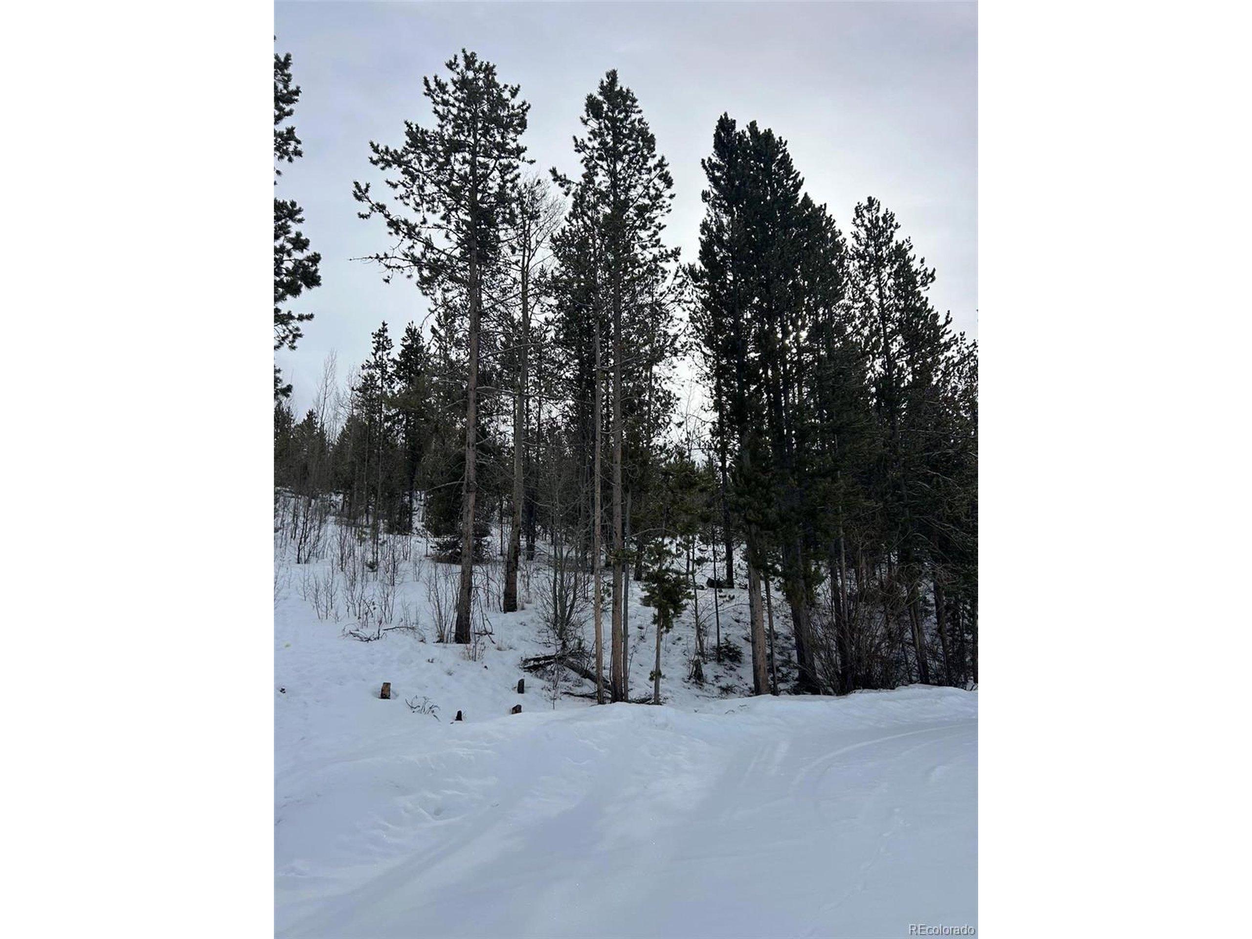 Image 4 Image 4