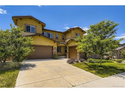14074 Yellow Tip Dr
