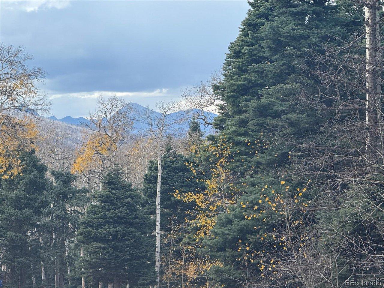 Image 3 Image 3