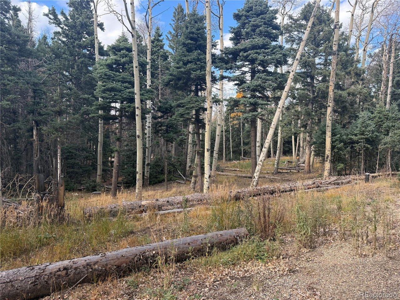 Image 4 Image 4