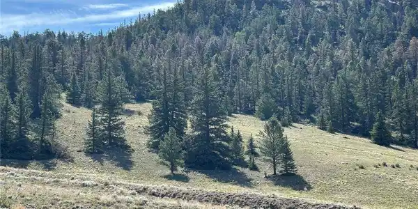 Image 3: Adjacent to National Forest Image 3: Adjacent to National Forest