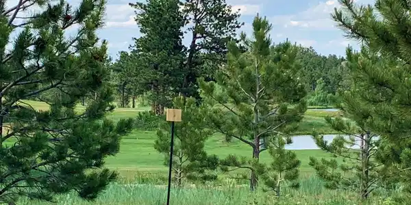 Image 2: Lot 3 is on the fairway of #12 Fox Acres Golf Club Image 2: Lot 3 is on the fairway of #12 Fox Acres Golf Club