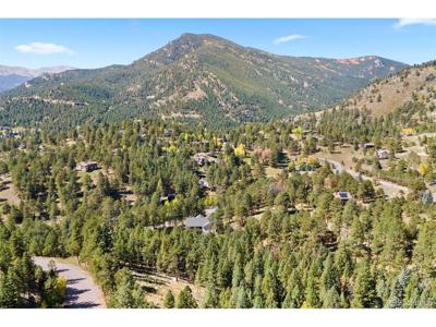 83 Conifer Dr