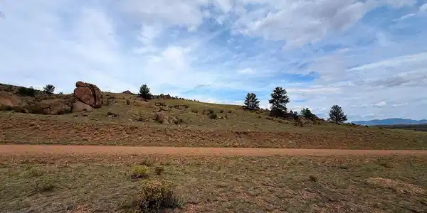 Image 3 Image 3