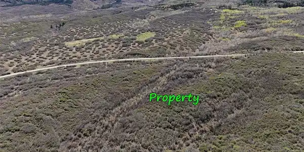 Image 3 Image 3