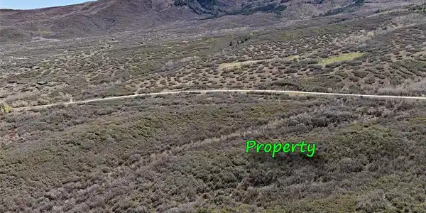 Image 4 Image 4