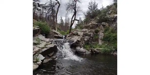 Image 4: Flowing Stream Image 4: Flowing Stream