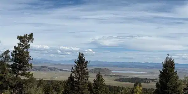 350 Kaufman Rd