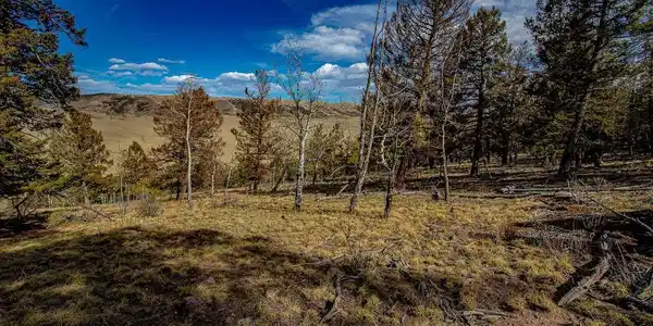 5302 Middle Fork Vis