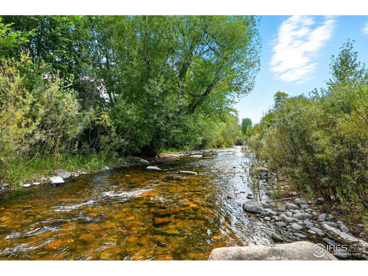 Image 2: Frolic in the Creek! Image 2: Frolic in the Creek!