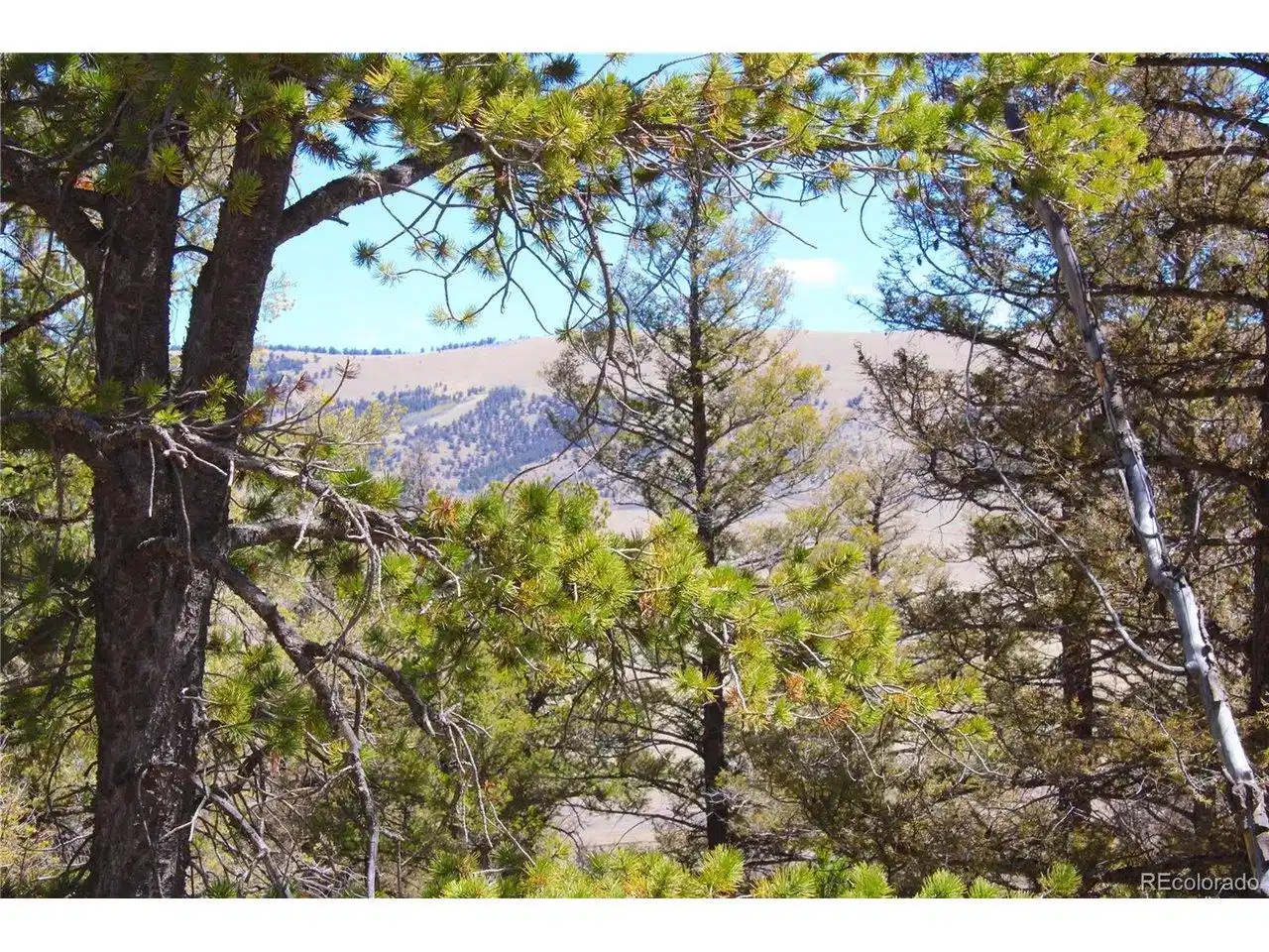 Image 1 Image 1