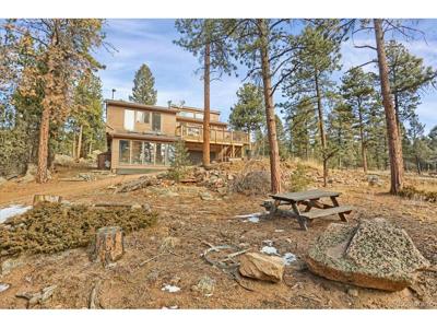 12345 Bear Haven Rd