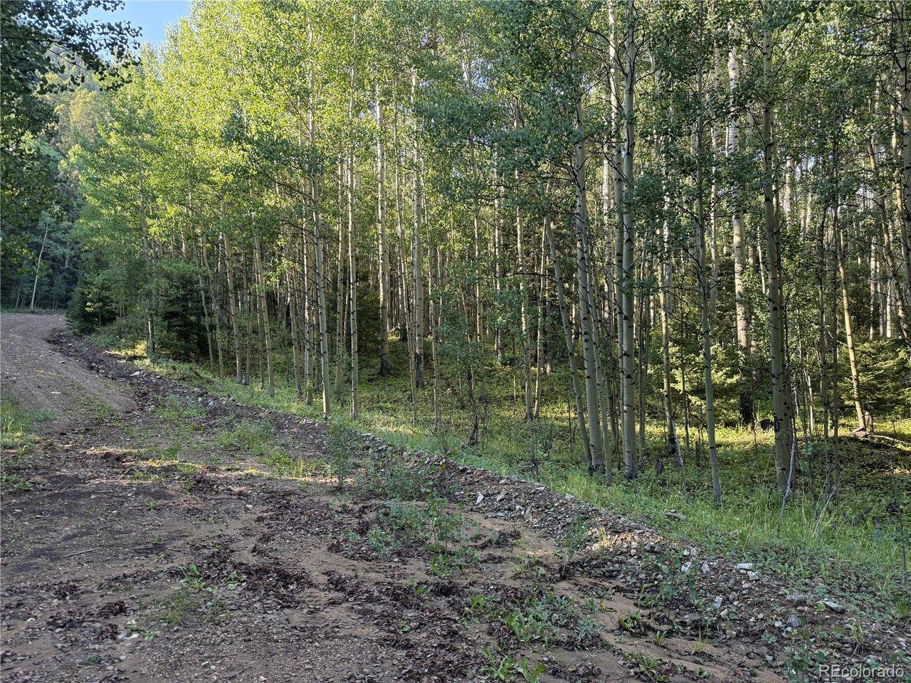 Image 1 Image 1