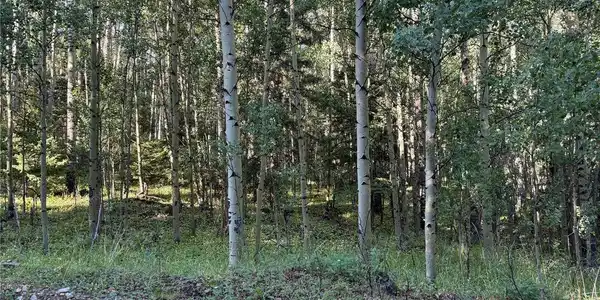 Image 2 Image 2
