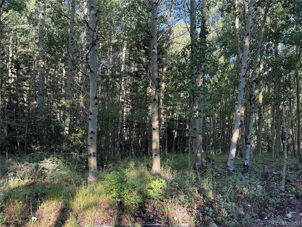 Image 3 Image 3