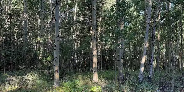 Image 3 Image 3