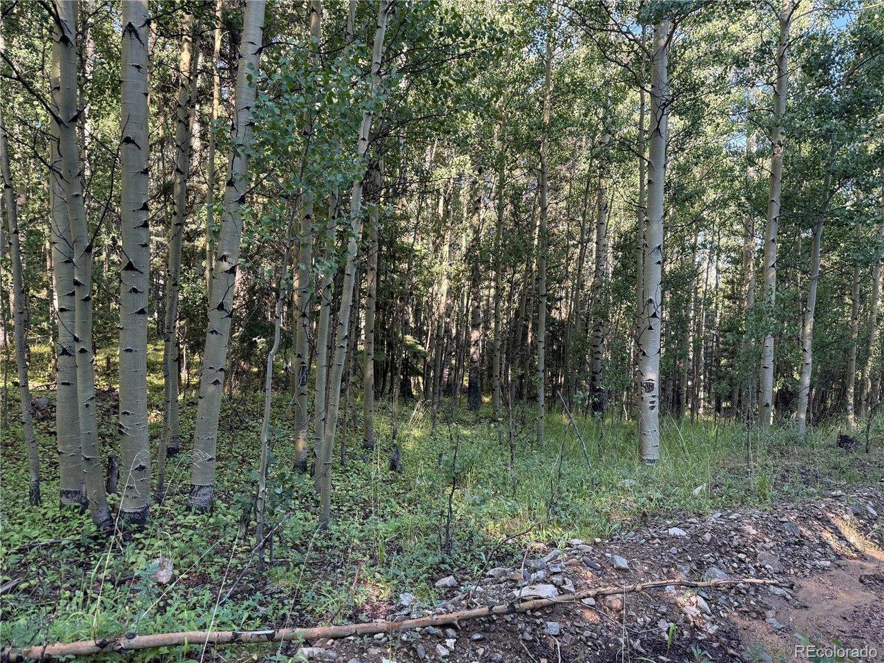 Image 4 Image 4