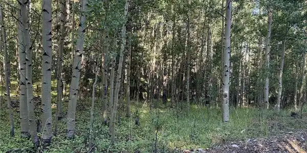 Image 4 Image 4