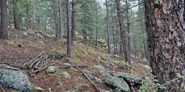 Image 4 Image 4
