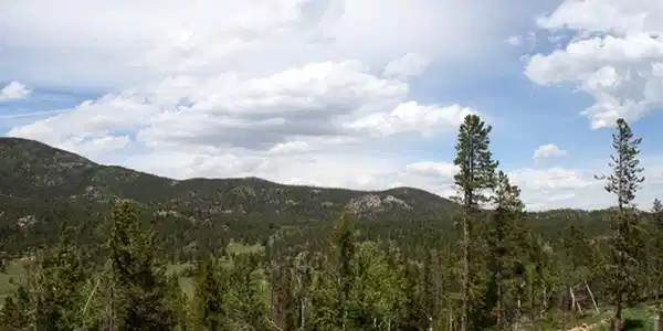 Image 2 Image 2
