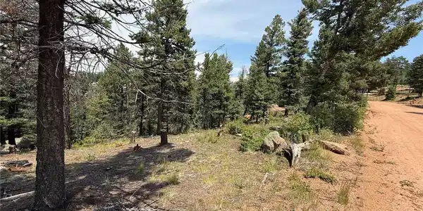 Image 4 Image 4