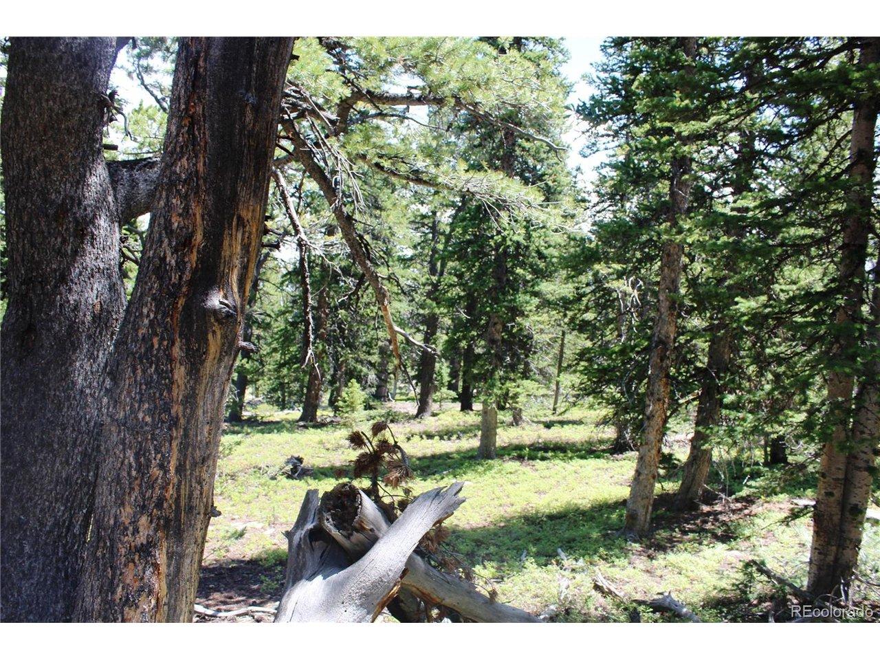 Image 3 Image 3