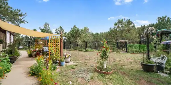 Image 4: Beautiful yard with wildlife fencing around the courtyard