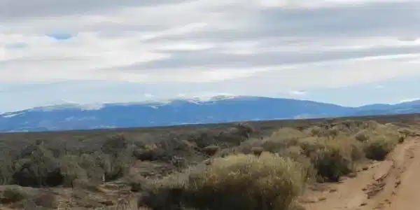 Image 3 Image 3